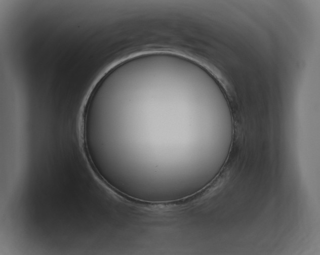 X0000101951527200807180652