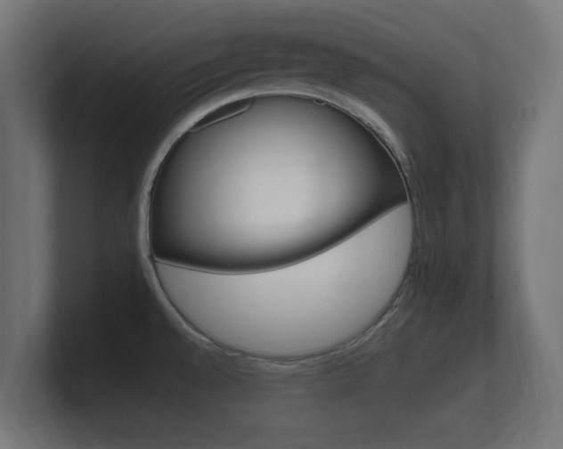 X0000101951528200807180652