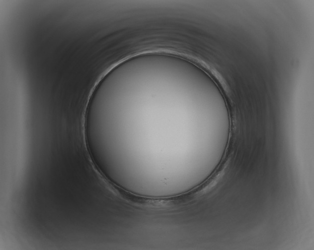 X0000101951529200807180652