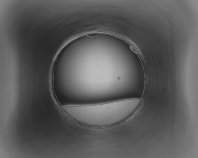X0000101951530200807180652