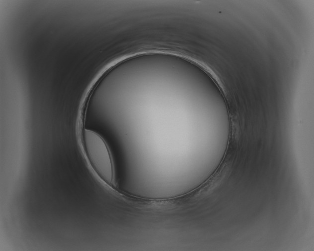 X0000101951531200807180652
