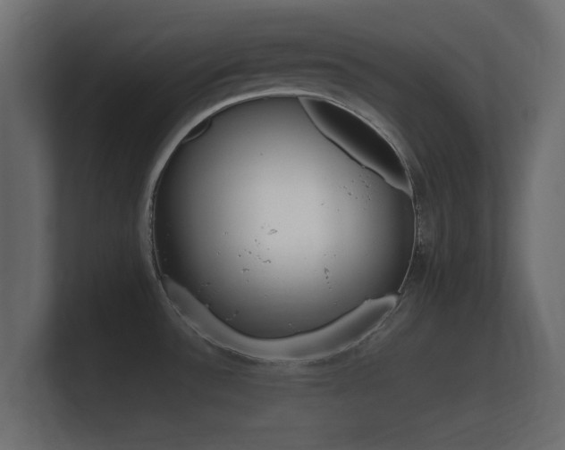 X0000101951532200807180652