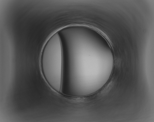 X0000101951533200807180652