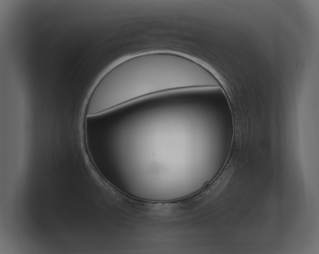 X0000101951534200807180652