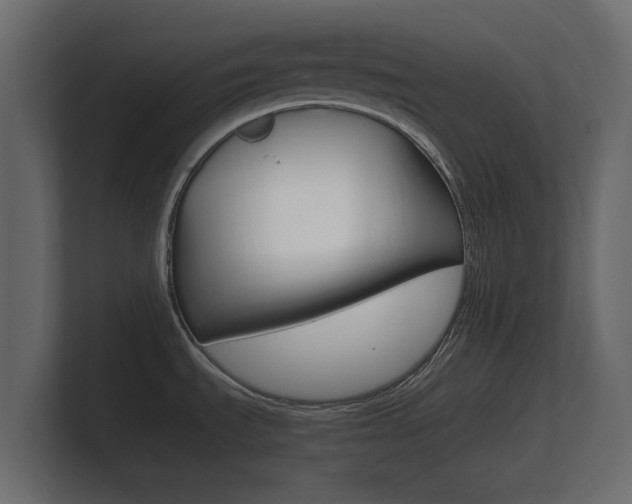 X0000101951535200807180652