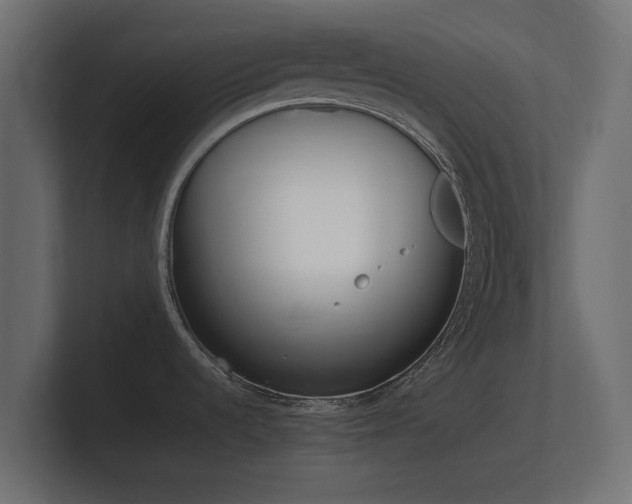 X0000101951536200807180652