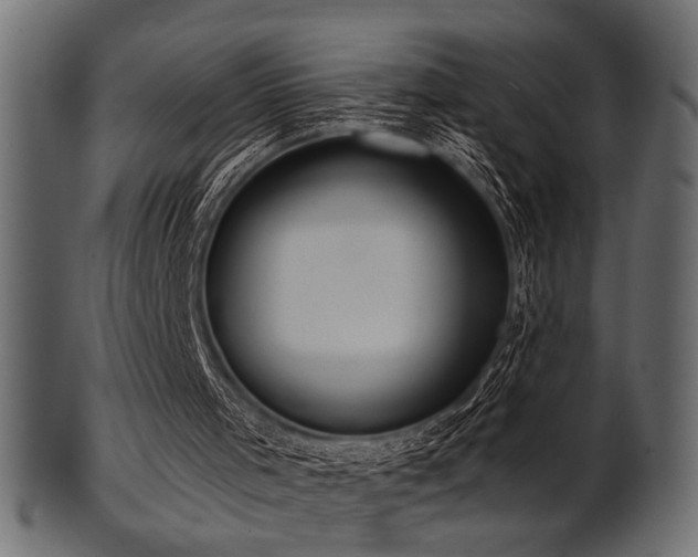 X0000101950001200807181500