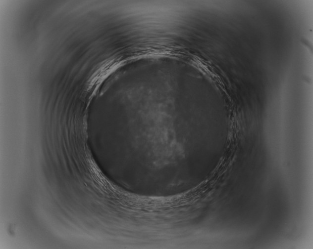 X0000101950002200807181500