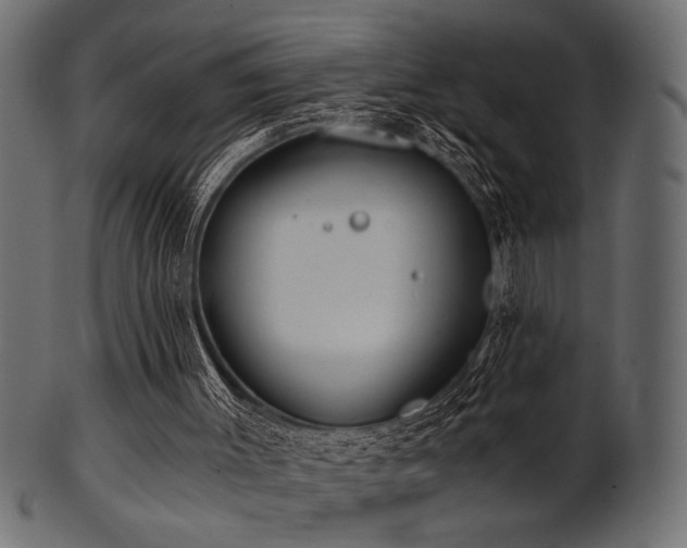 X0000101950003200807181500