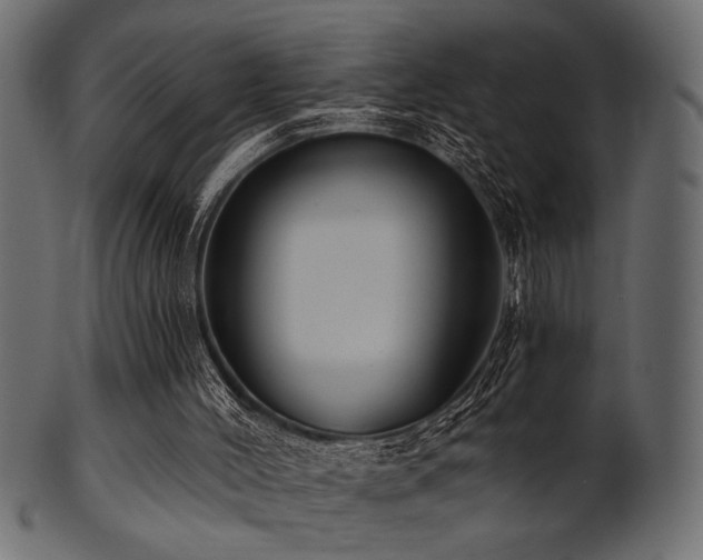 X0000101950004200807181500