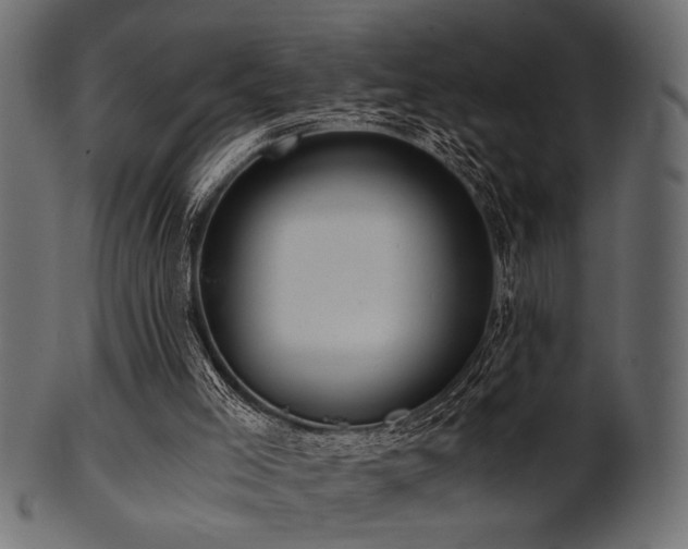 X0000101950005200807181500