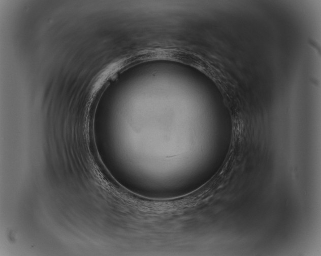 X0000101950006200807181500