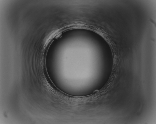 X0000101950007200807181500