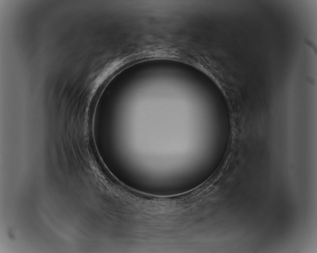 X0000101950008200807181500