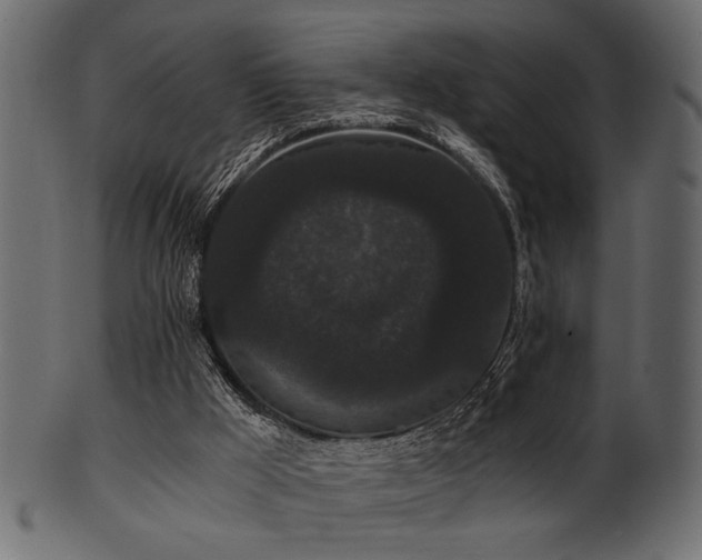 X0000101950009200807181500