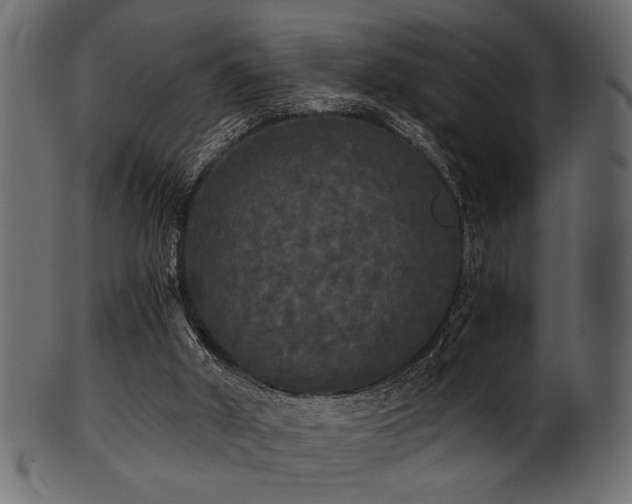 X0000101950010200807181500