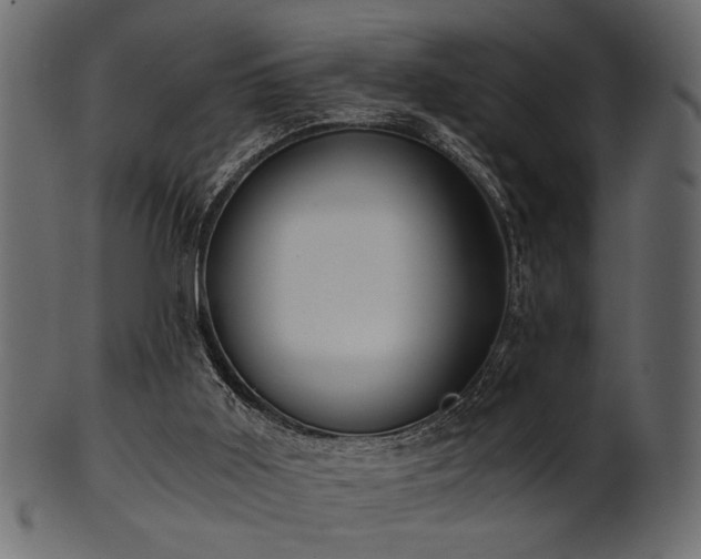 X0000101950011200807181500