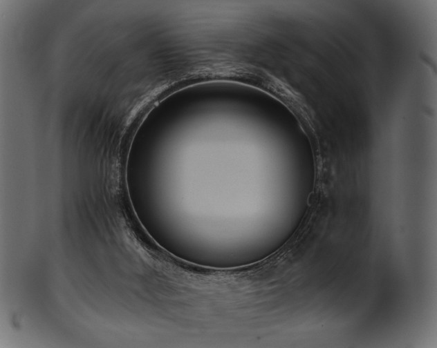 X0000101950012200807181500