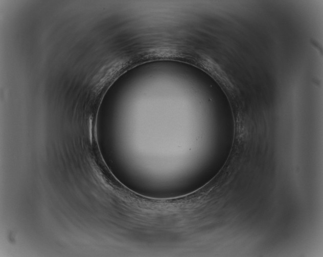 X0000101950014200807181500