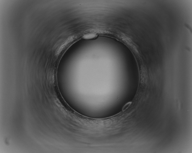 X0000101950015200807181500