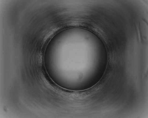 X0000101950016200807181500