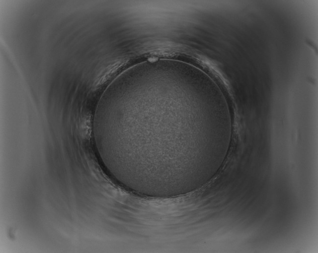 X0000101950017200807181500