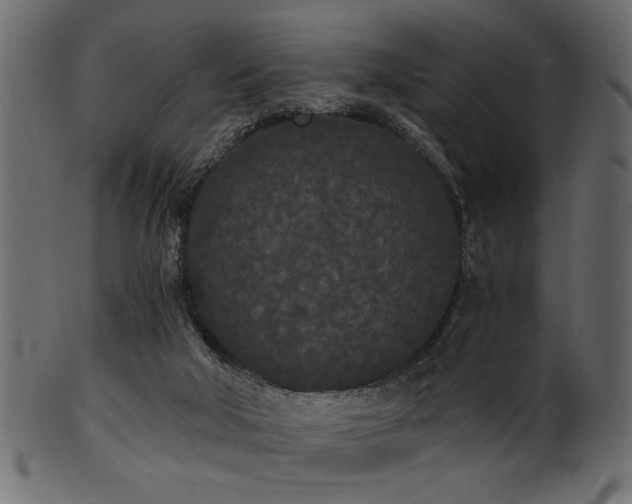 X0000101950018200807181500