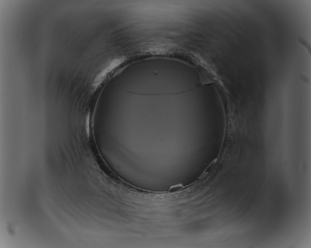 X0000101950019200807181500