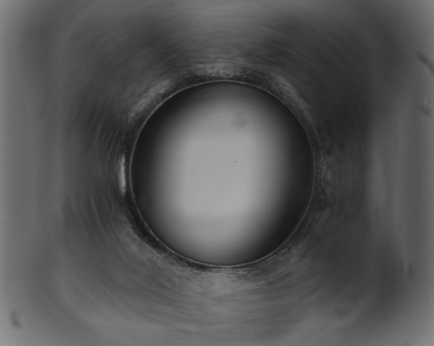 X0000101950020200807181500