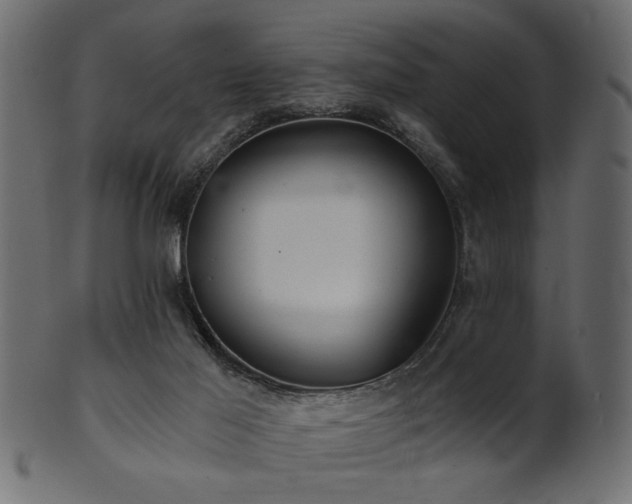 X0000101950021200807181500