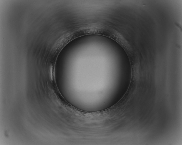 X0000101950022200807181500