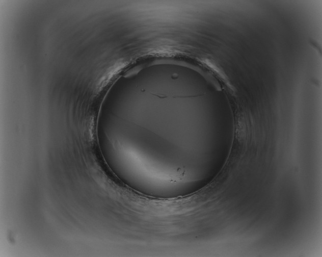 X0000101950023200807181500