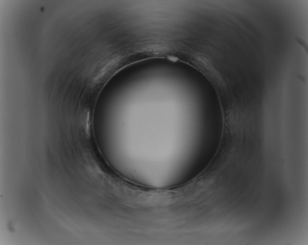 X0000101950024200807181500