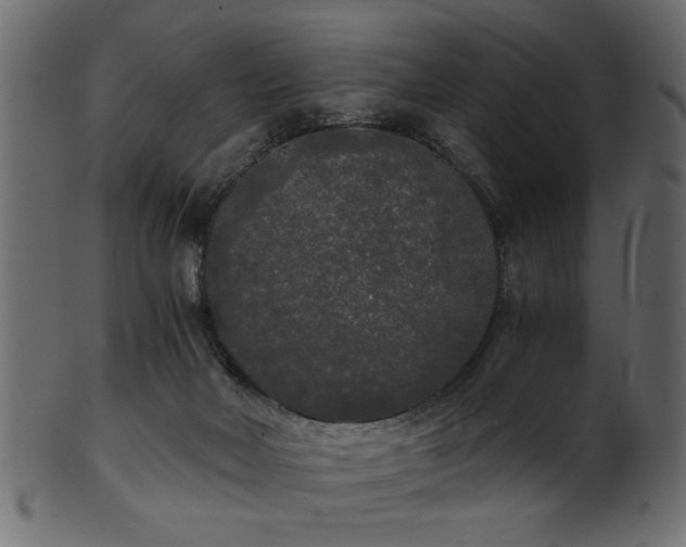 X0000101950026200807181500