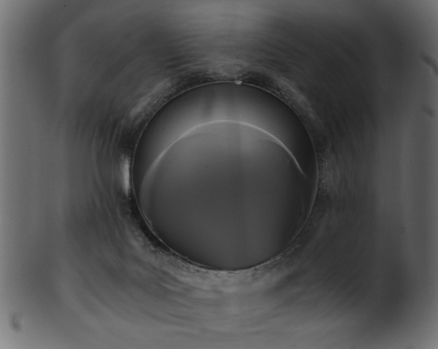 X0000101950027200807181500