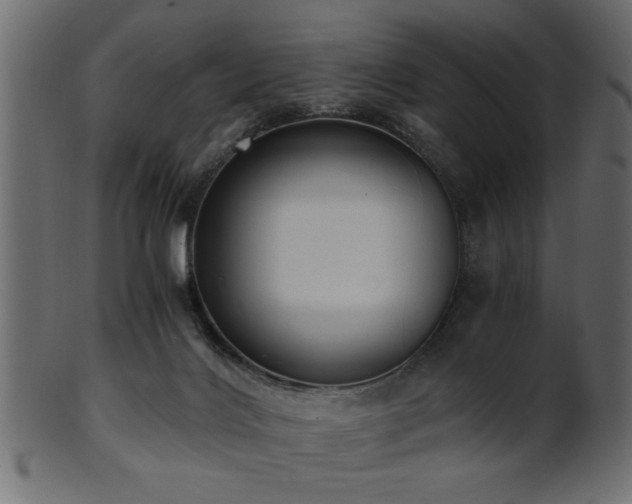 X0000101950028200807181500