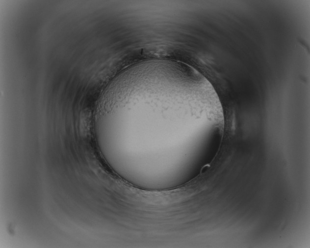 X0000101950030200807181500