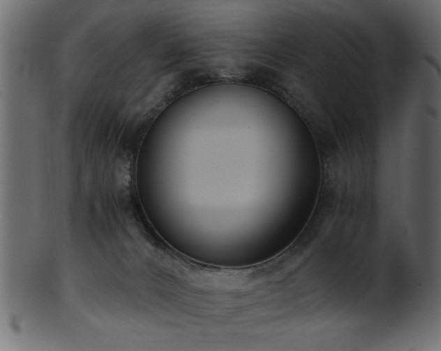 X0000101950032200807181500