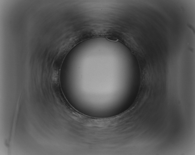 X0000101950033200807181500