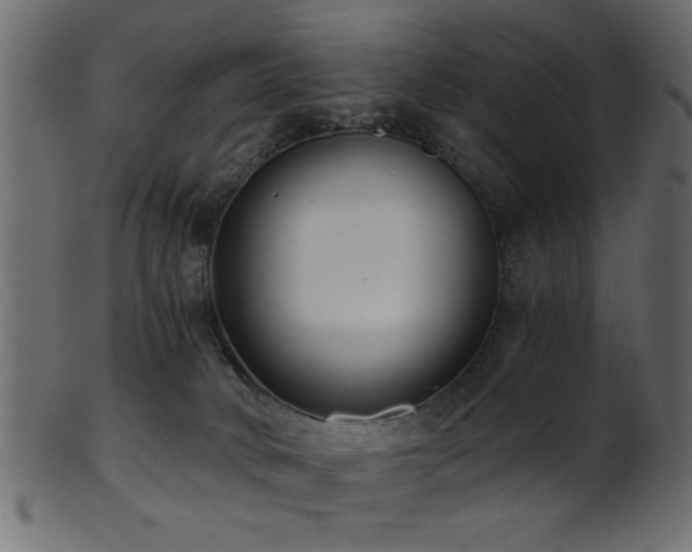 X0000101950034200807181500