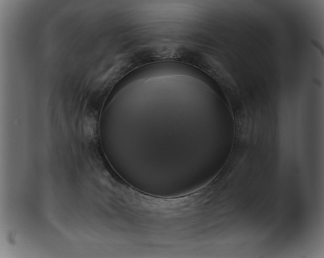 X0000101950035200807181500