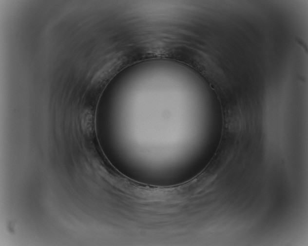 X0000101950036200807181500