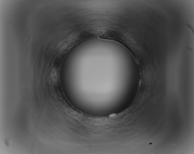 X0000101950037200807181500