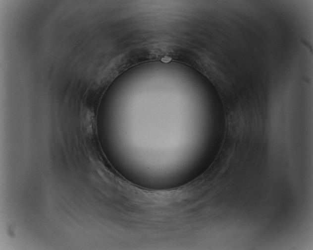 X0000101950038200807181500