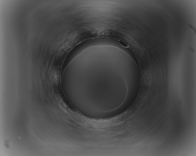 X0000101950039200807181500