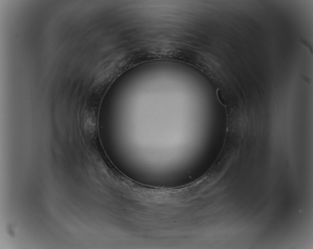 X0000101950040200807181500