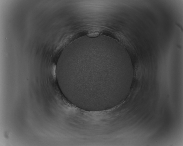 X0000101950041200807181500