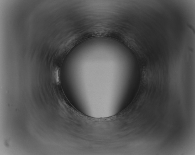 X0000101950042200807181500