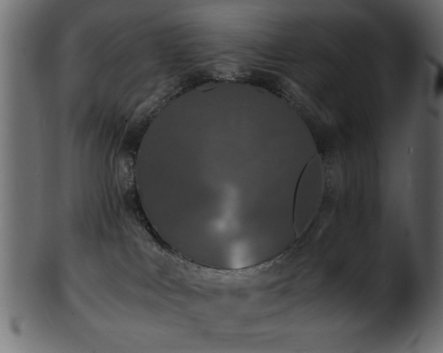 X0000101950043200807181500