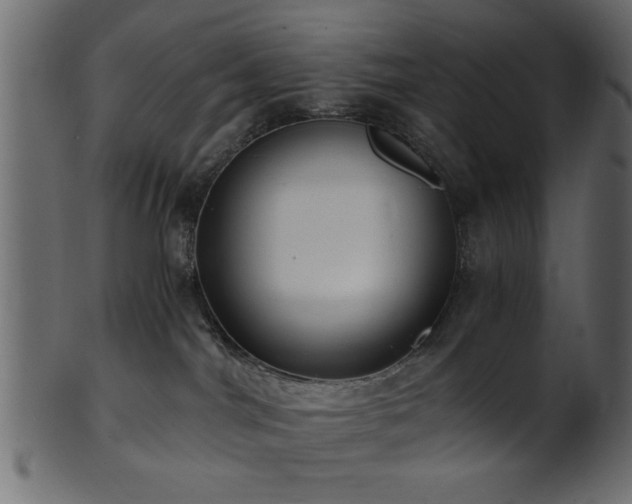 X0000101950044200807181500